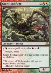 Giant Solifuge Giant Solifuge