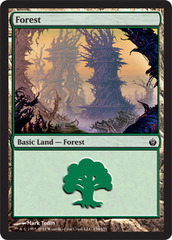 Forest (154) Forest (154)