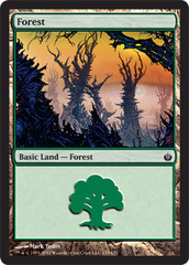 Forest (155) Forest (155)