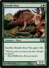 Brindle Boar Brindle Boar