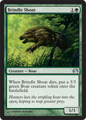 Brindle Shoat Brindle Shoat